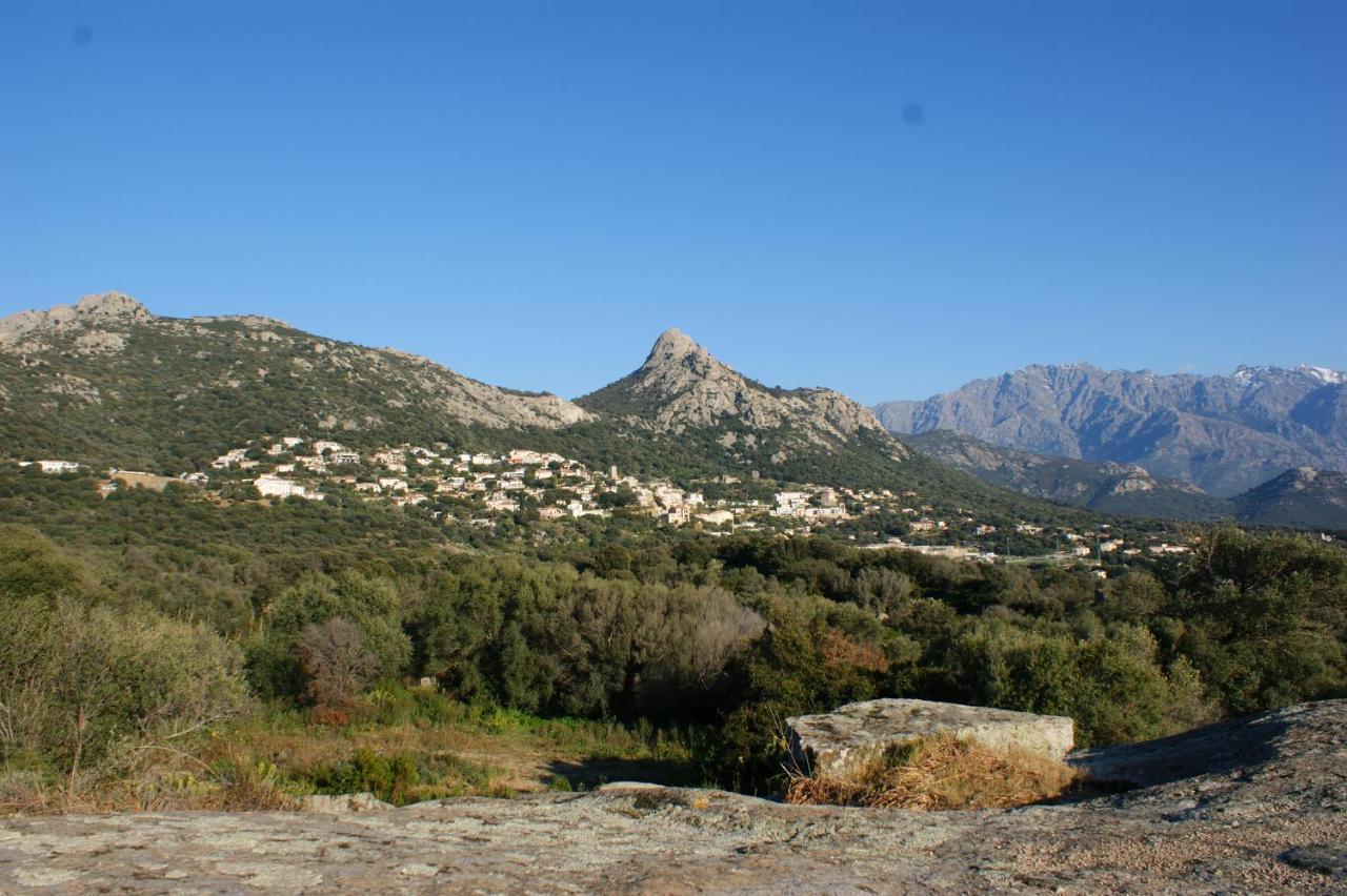 Villa Belle Location Sur Lumio Avec Vue Remarquable Et Jardin Exterior foto