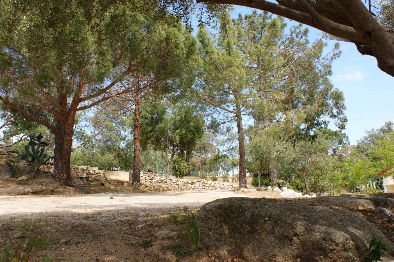 Villa Belle Location Sur Lumio Avec Vue Remarquable Et Jardin Exterior foto